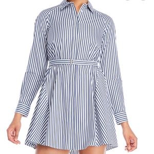 Striped Shirt Dress by Adam Lippes